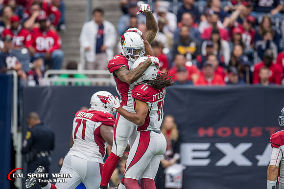 NFL 2017: Cardinals vs Texans NOV 19