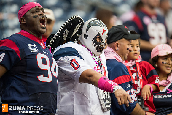 NFL 2013 - Houston Texans vs St. Louis Rams