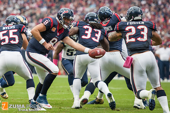 NFL 2013 - Houston Texans vs St. Louis Rams