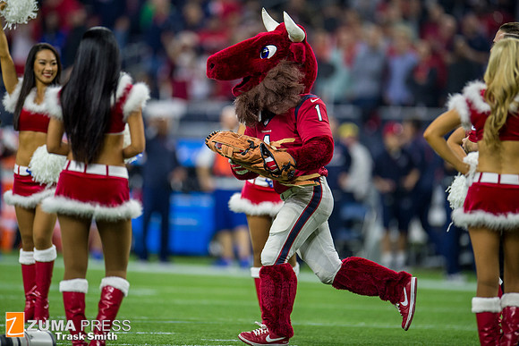 NFL 2015 - New England Patriots defeat Houston Texans 27-6