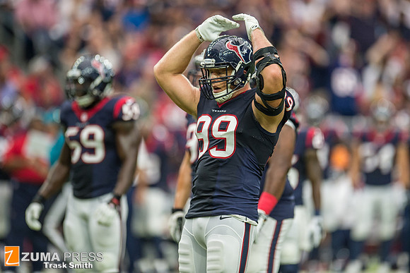 NFL 2014 - Houston Texans vs Buffalo Bills
