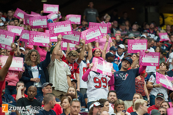 NFL 2013 - Houston Texans vs St. Louis Rams