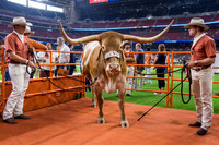 NCAA Football 2019: Texas vs Rice SEP 14