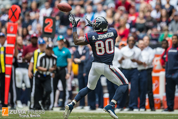 NFL 2013 - Houston Texans vs New England Patriots