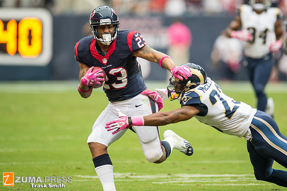 NFL 2013 - Houston Texans vs St. Louis Rams
