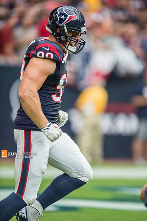 NFL 2014 - Houston Texans vs Buffalo Bills