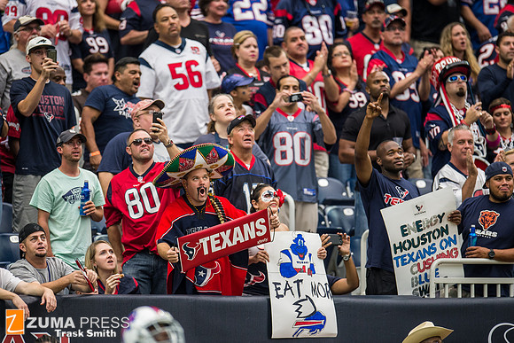 NFL 2014 - Houston Texans vs Buffalo Bills