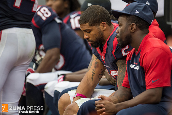 NFL 2013 - Houston Texans vs St. Louis Rams