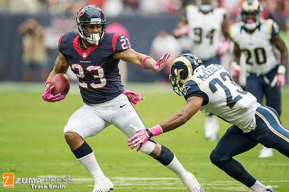 NFL 2013 - Houston Texans vs St. Louis Rams