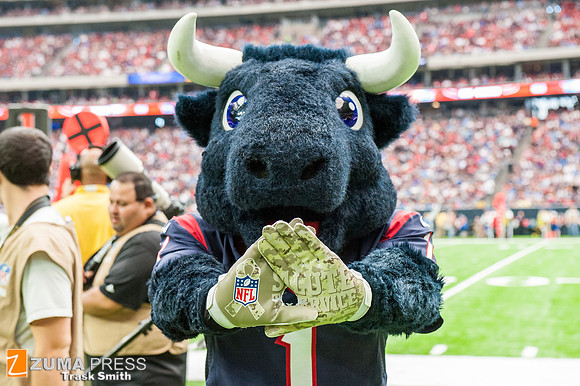 NFL 2016 - Houston Texans vs Detroit Lions