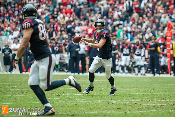 NFL 2013 - Houston Texans vs New England Patriots