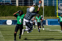 NCAA Football 2019: North Texas vs Rice NOV 23