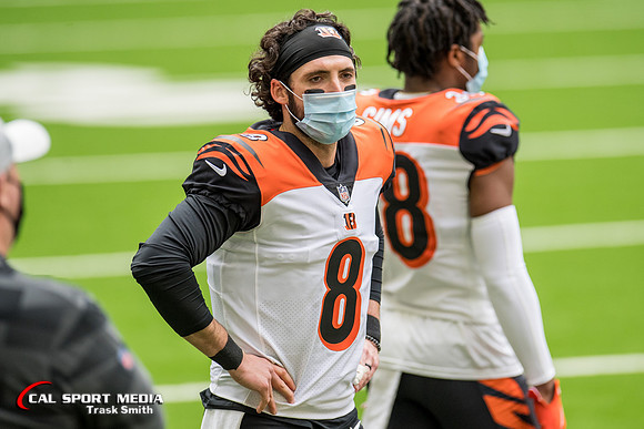 NFL 2020: Bengals vs Texans DEC 27