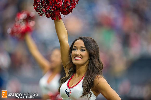 NFL 2014 - Houston Texans vs Buffalo Bills
