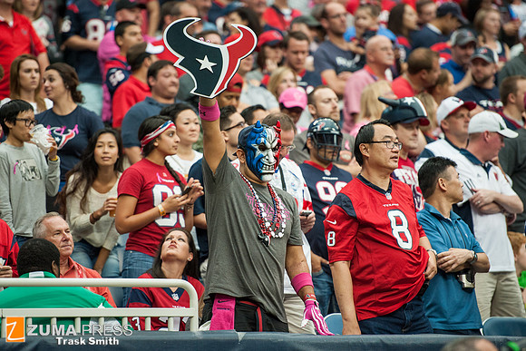 NFL 2013 - Houston Texans vs St. Louis Rams