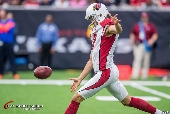 NFL 2017: Cardinals vs Texans NOV 19