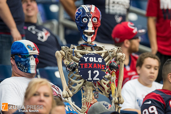 NFL 2013 - Houston Texans vs St. Louis Rams