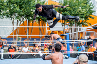 Pro Wrestling