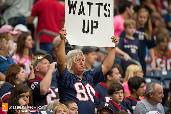 NFL 2013 - Houston Texans vs St. Louis Rams