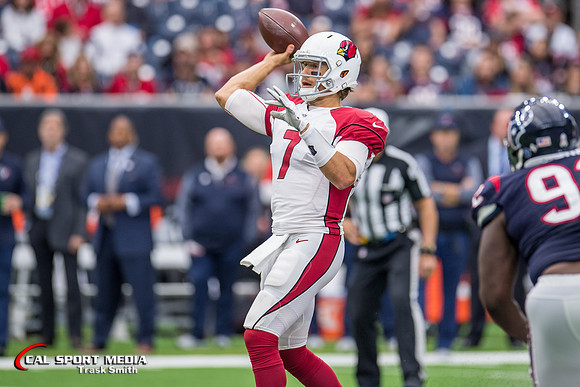 NFL 2017: Cardinals vs Texans NOV 19