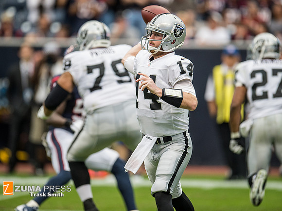 NFL 2013 - Houston Texans vs Oakland Raiders