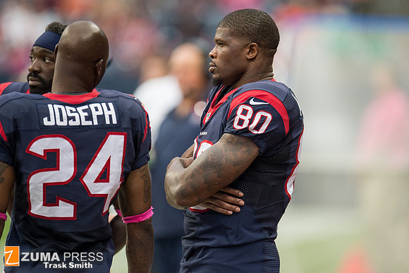 NFL 2013 - Houston Texans vs St. Louis Rams