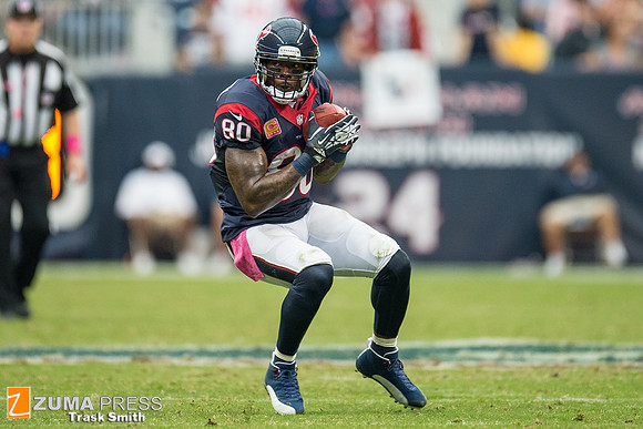 NFL 2013 - Houston Texans vs St. Louis Rams