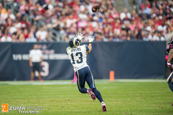 NFL 2013 - Houston Texans vs St. Louis Rams