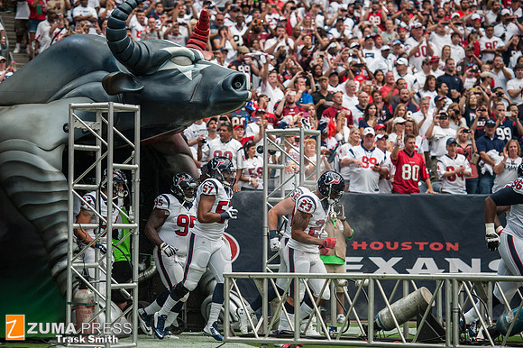 NFL 2014 - Houston Texans vs Washington Redskins
