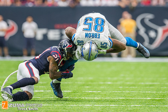 NFL 2016 - Houston Texans vs Detroit Lions