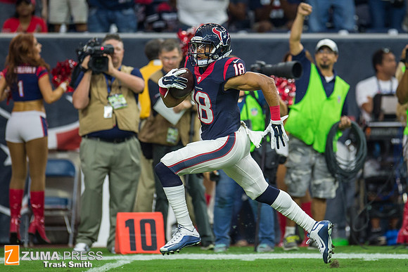 NFL 2015 - Houston Texans vs San Francisco 49ers