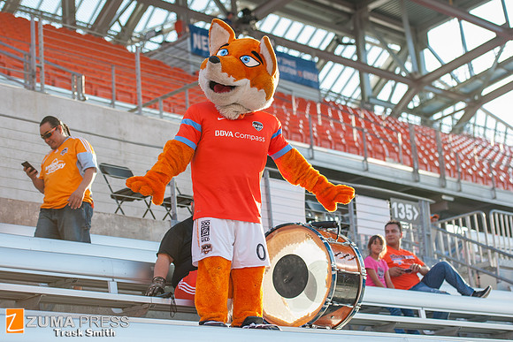 NWSL 2014 - Houston Dash vs Western New York Flash