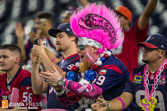 NFL 2015 - Indianapolis Colts defeat Houston Texans 27-20