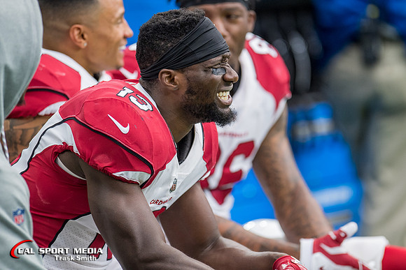 NFL 2017: Cardinals vs Texans NOV 19