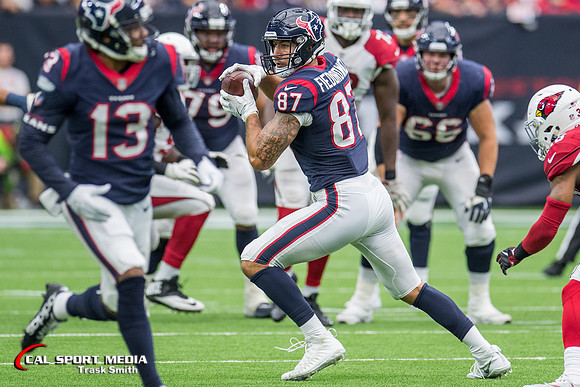 NFL 2017: Cardinals vs Texans NOV 19