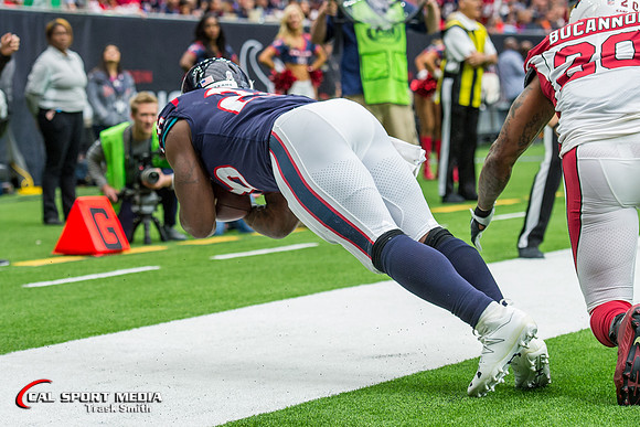 NFL 2017: Cardinals vs Texans NOV 19