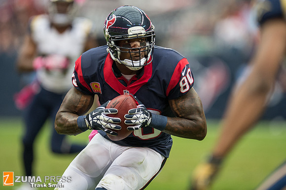 NFL 2013 - Houston Texans vs St. Louis Rams