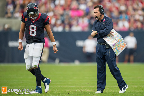 NFL 2013 - Houston Texans vs St. Louis Rams