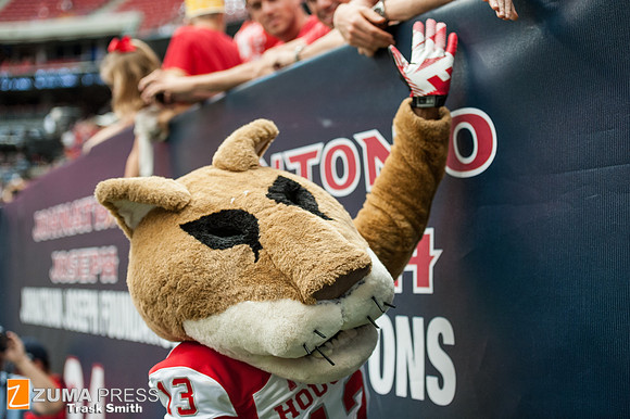 NCAA football 2013 - Houston Cougars vs. Rice Owls