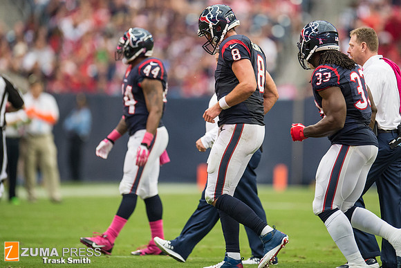 NFL 2013 - Houston Texans vs St. Louis Rams