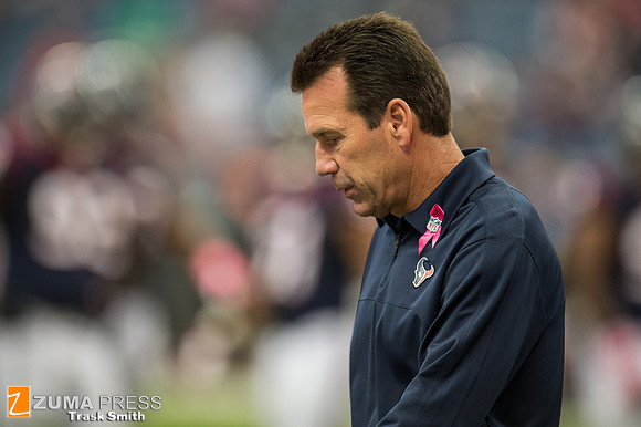 NFL 2013 - Houston Texans vs St. Louis Rams