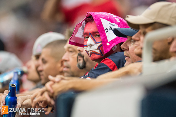 NFL 2013 - Houston Texans vs St. Louis Rams
