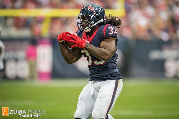 NFL 2013 - Houston Texans vs St. Louis Rams
