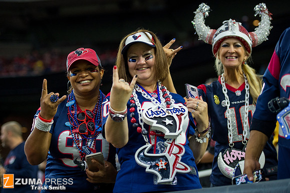 NFL 2015 - Houston Texans defeat the Tennessee Titans 20-6