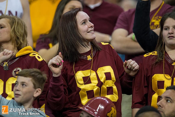 NCAA football 2013 - Texas Bowl: Minnesota vs Syracuse