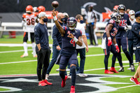 NFL 2020: Bengals vs Texans DEC 27