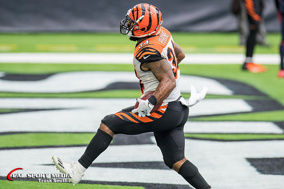 NFL 2020: Bengals vs Texans DEC 27
