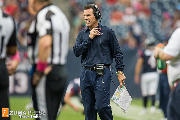NFL 2013 - Houston Texans vs St. Louis Rams