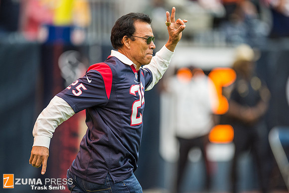NFL 2014 - Houston Texans vs Buffalo Bills