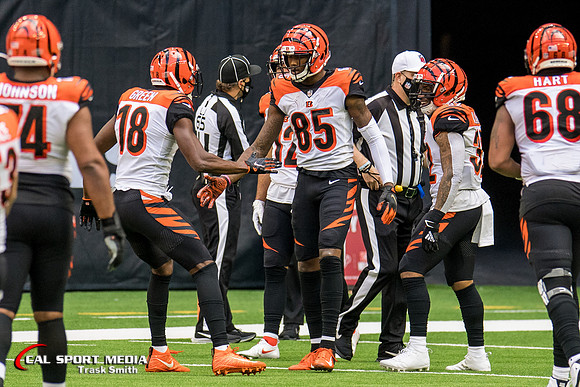 NFL 2020: Bengals vs Texans DEC 27